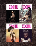 The Art of Xochil