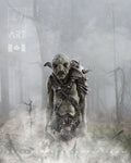 Art Print & Poster