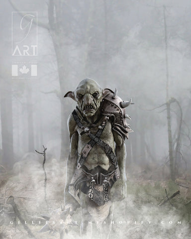 Art Print & Poster